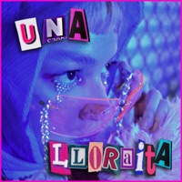 Una Lloraita - Single - fresaconcrimen & Midgvrd