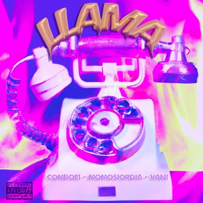 Llama (feat. momo siordia & VANI) - Single