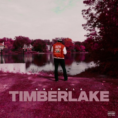 Timberlake - Single
