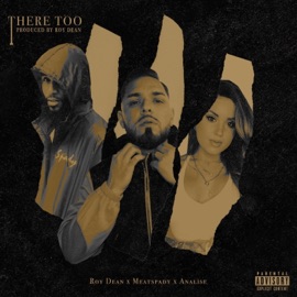 There Too (feat. MeatSpady & Analise) Roy Dean
