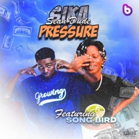 Sika Pressure (feat. Songg Birdd) - Single - Sean Dude
