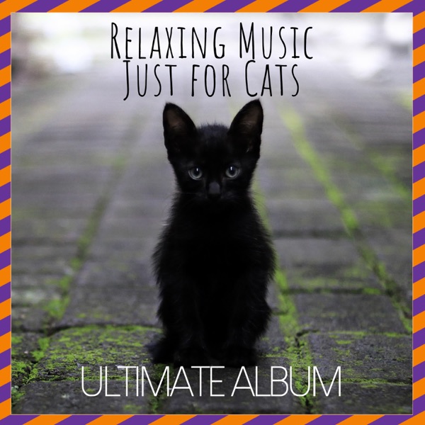 Relaxing Music Just for Cats: Ultimate Album
