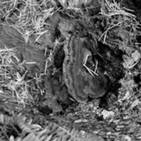 Runn Upp Onn Mee - Single - ZILLA$kAVE