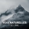 Collection de Musique Naturelle