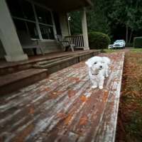 Change - Single - Maxrrss