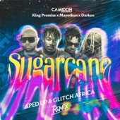 Camidoh (Sugarcane Remix) [Glitch Africa Live Performance] artwork