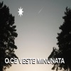 O Ce Veste Minunata - Single