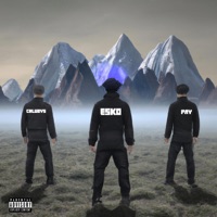 Stínový Vojáci (feat. Esko & Pay) - Single - Chlubys