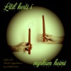 Lítil Kerti Í Myrkum Heimi (feat. Jóhann Sigurðarson & Salka Sól Eyfeld) - Single