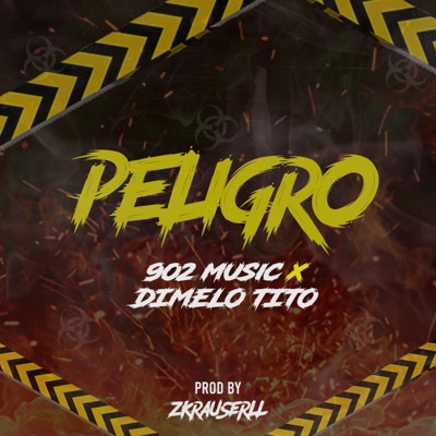 Peligro (feat. TITO MUSIC) - Single