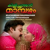 Kasavinte Thattamittu artwork