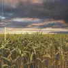 Heartland