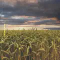 Heartland