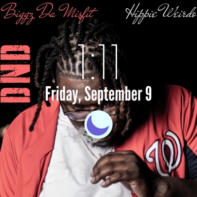 DND (feat. Hippie Weirdo) - Single