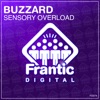 Sensory Overload - Single