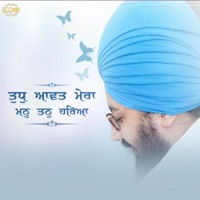 Tudh Aavat Mera Man Tan Hareya - Single - Bhai Ranjit Singh Dhadrianwale