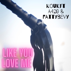 Like You Love Me Kouk, FattyBevy & A420