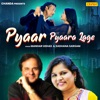 Pyaar Pyaara Lage - Single