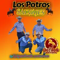 Trovador de Cantina