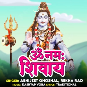 Om Namah Shivay