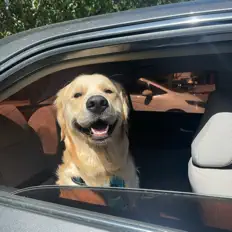 Listen to TheMellowX, watch music videos, read bio, see tour dates & more!