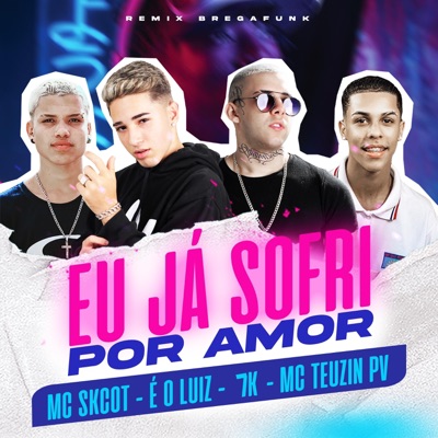 É o Luiz & DJ Emerson 7K - Eu já sofri por amor (feat. MC Teuzin PV & MC Skcot)