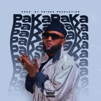 PAKA PAKA - Single - NT4
