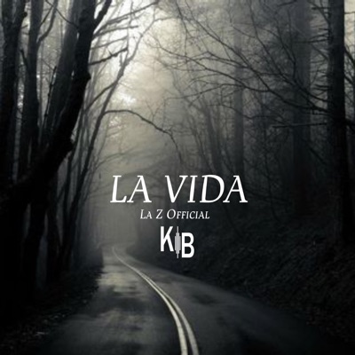 La Vida (feat. Kroesebeats) - Single