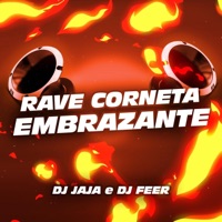 Rave Corneta Embrazante (feat. Dj Jaja) - Single - DJ Feer