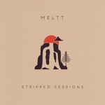 Meltt - Within You, Within Me