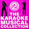 The Karaoke Musical Collection (Vol. 2) - Varios Artistas