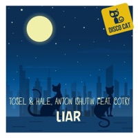 Liar - Single - Tosel & Hale, Anton Ishutin & Cotry