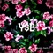 Y$B - KsamikS_XamiX_ lyrics
