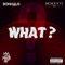 What? (feat. Bonhaus & MCMXXVI) - Pablito Mix lyrics