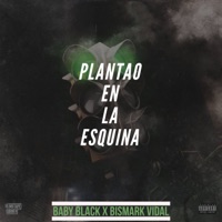 Plantao en la Esquina (feat. Bismark Vidal) - Single - Baby Black