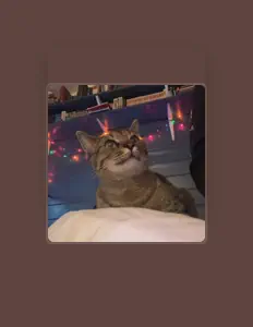 收听 dasokii、观看音乐视频、阅读小传、查看巡演日期等 ！