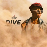 Dive (Dust Raiser Riddim) - Single - Fay-Ann Lyons