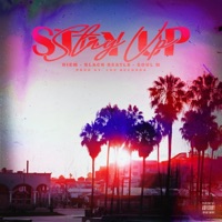Stay Up (feat. Diem & Soul M) - Single - Black Beatle