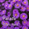 Parade - Marc Aert lyrics