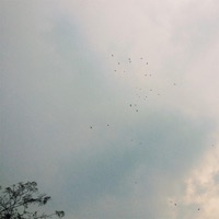 Daybreak - Single - saikai & CDM