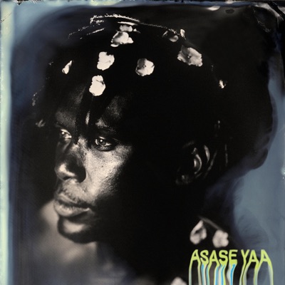 Asase Yaa (feat. Pink Siifu, Brandon Banks & Chris Williams) - Single