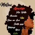 Shatta Gogo