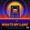 Whats My Lane - Bad Ass Nerd Gang lyrics