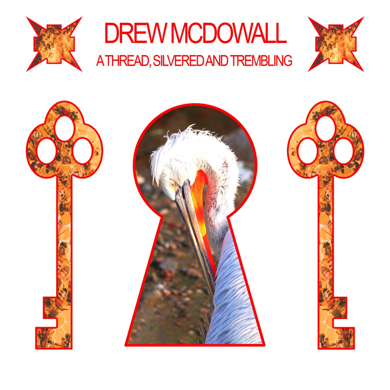 Drew McDowall – A Thread, Silvered and Trembling (2024) [iTunes Match M4A]