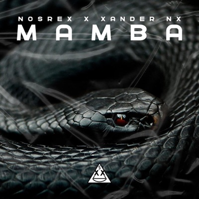 Mamba (feat. Xander NX) - Single