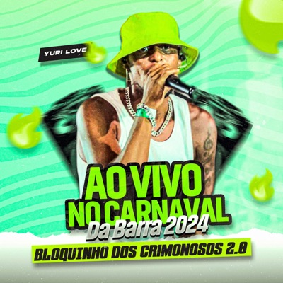 Bloquinho Dos Criminosos 2.0 (Ao Vivo No Carnaval Da Barra 2024) - Single