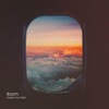 Golden Hour Flight