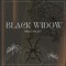 Black Widow - Mikki Ma'at lyrics