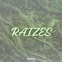 Raizes - Single - McDereksp & Mc Vendosa
