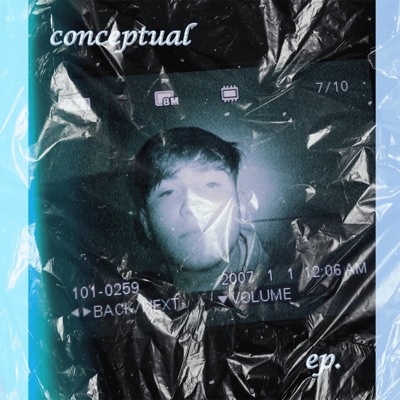 Conceptual - Single